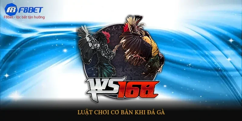 Luật chơi cơ bản khi đá gà