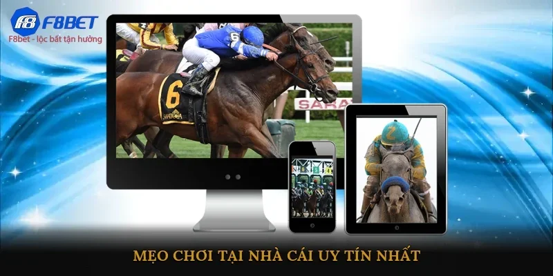 Mẹo chơi tại nhà cái uy tín nhất