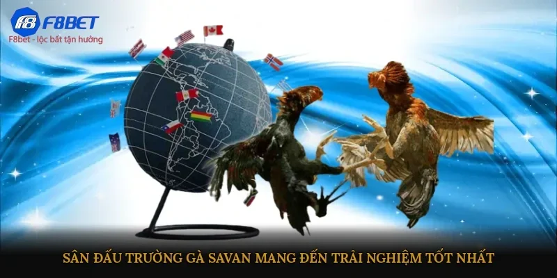 Sân đấu trường gà Savan mang đến trải nghiệm tốt nhất